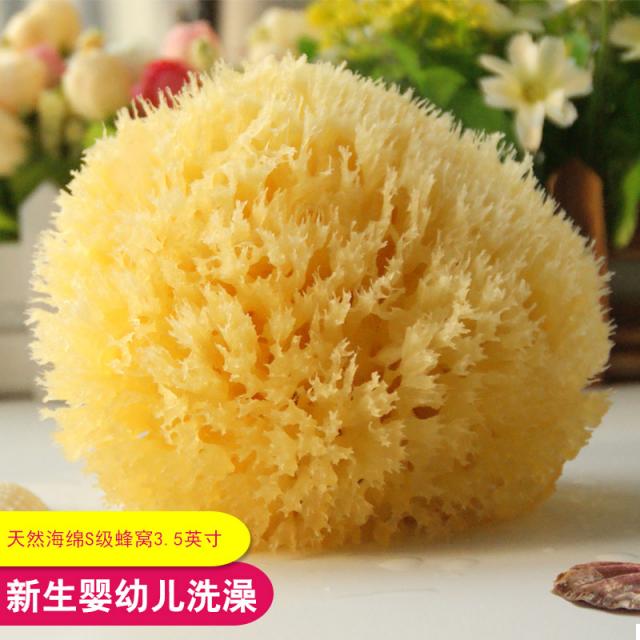 希腊天然海绵蜂窝海绵S级3.5英寸